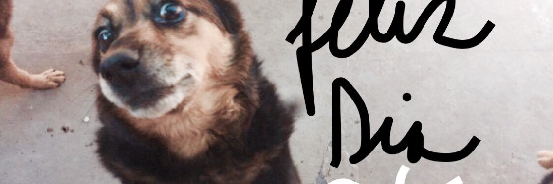 ONEBONEMOVEMENT's profile banner image