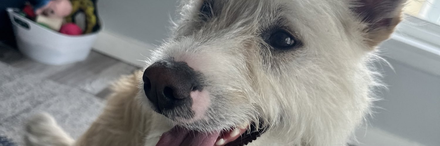 coco47195's profile banner image