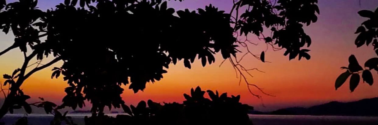 ddalilaa's profile banner image
