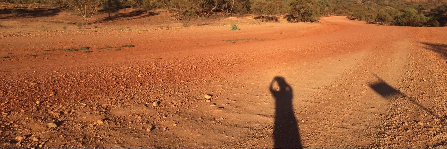 JanelleMayD's profile banner image