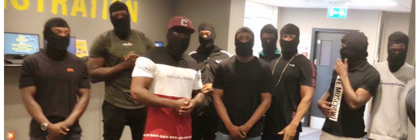 DUBZBS5 banner