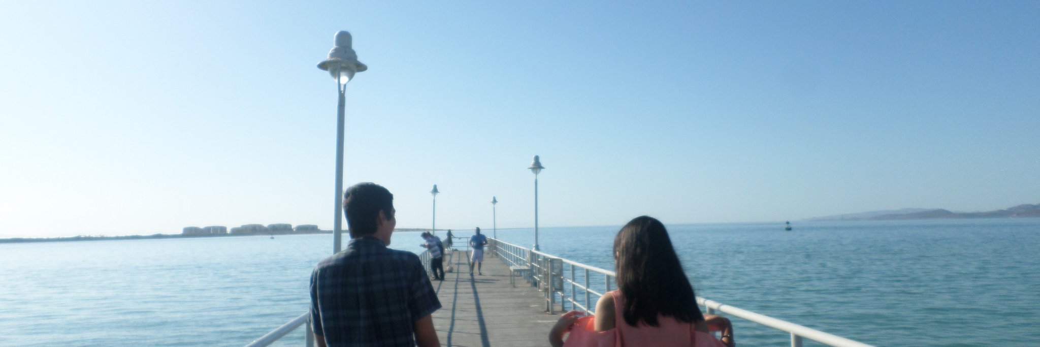 Lic.Luz @ide Peralta banner