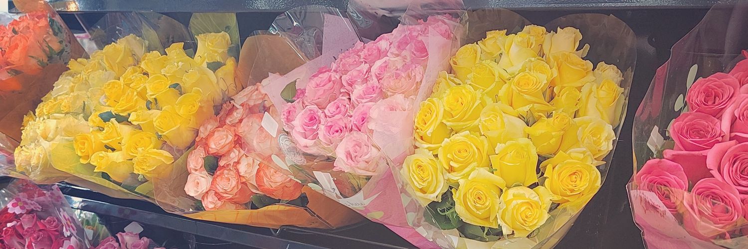 Isc_Ana's profile banner image
