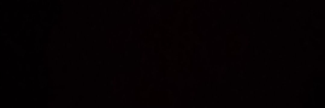mjbrignone's profile banner image