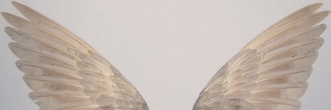 as0ma071's profile banner image