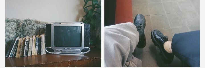 🦋 banner