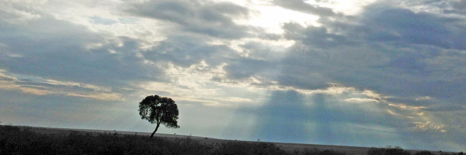Susan Esther Barnes banner