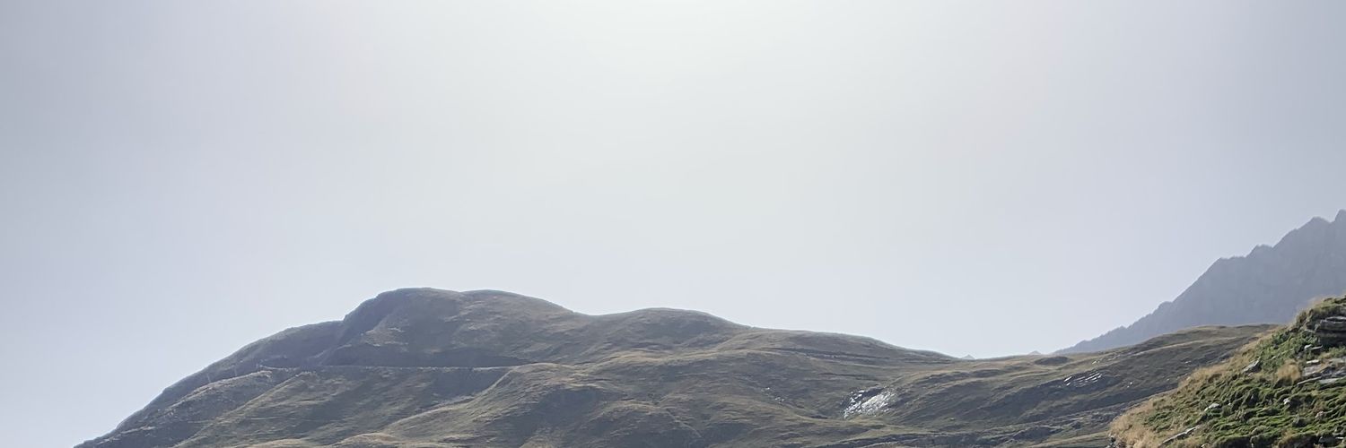 d_torrella's profile banner image