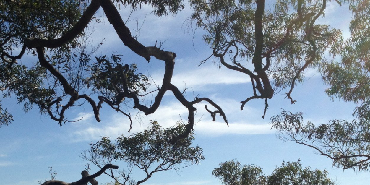 Line Stenseth banner