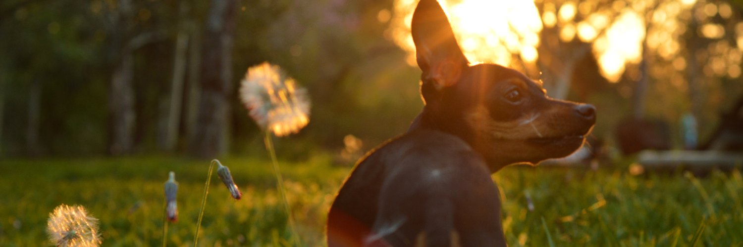 aaaaalivn's profile banner image
