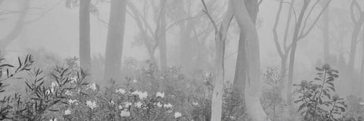 gbiirk's profile banner image