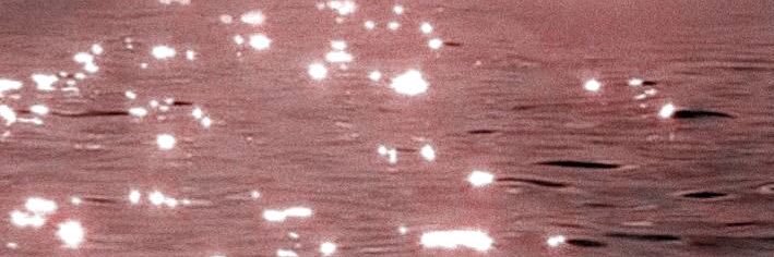 _maiig's profile banner image