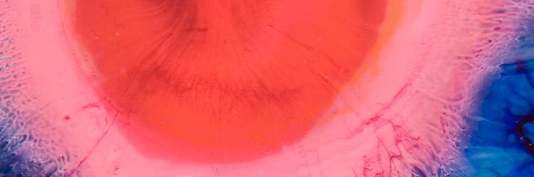 nata🦋 banner