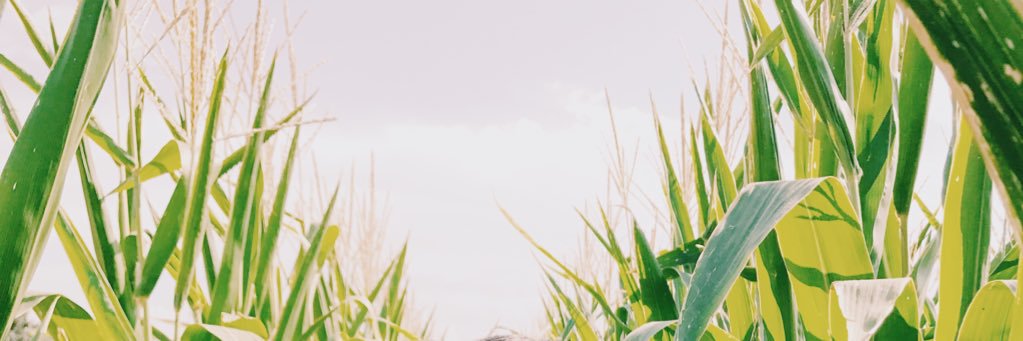 Houtzyash's profile banner image