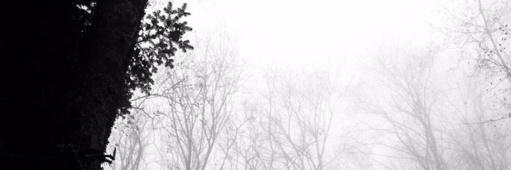 jstuder951's profile banner image