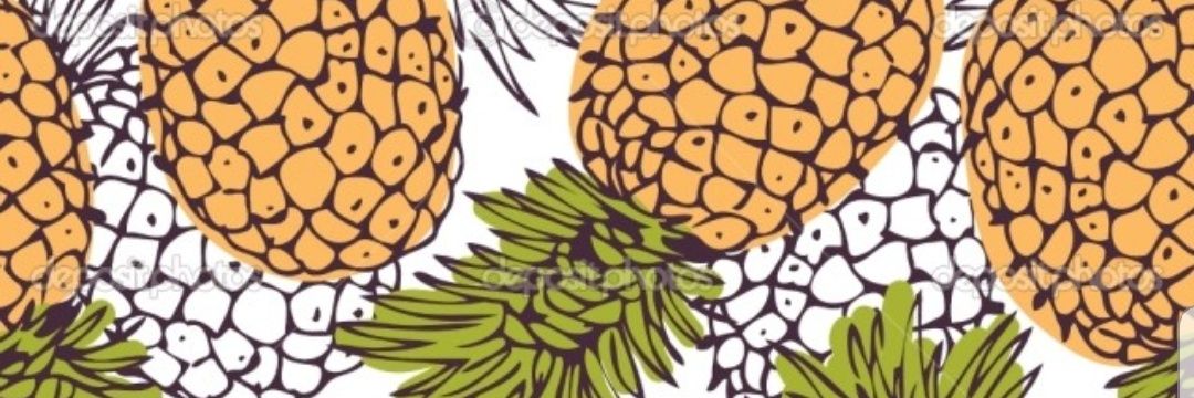 KRNitzel's profile banner image
