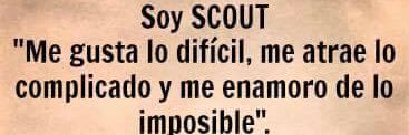 Lobo que nunca duerme. banner