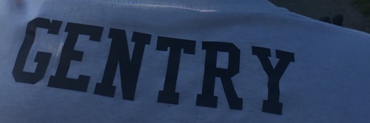 tracegentry's profile banner image