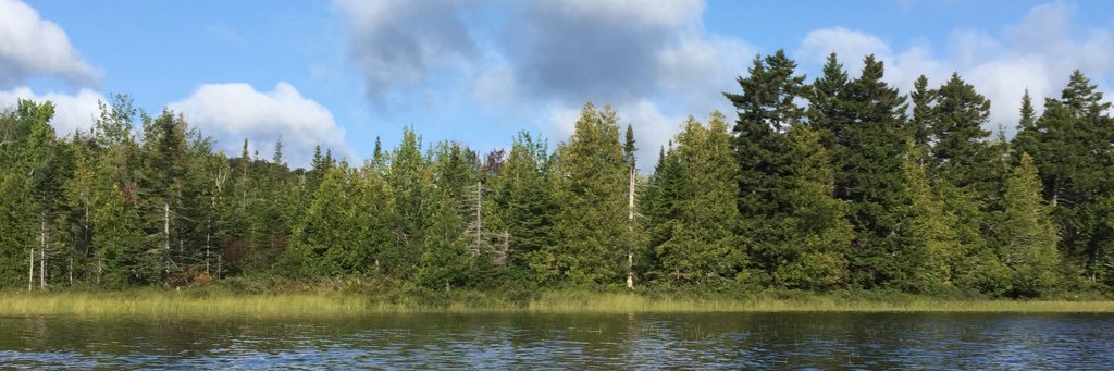 MsLawlor's profile banner image