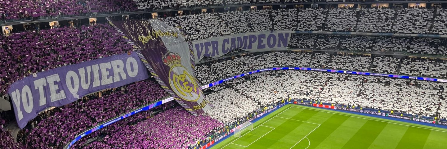 El Tiburón Blanco 🦈⚪ banner