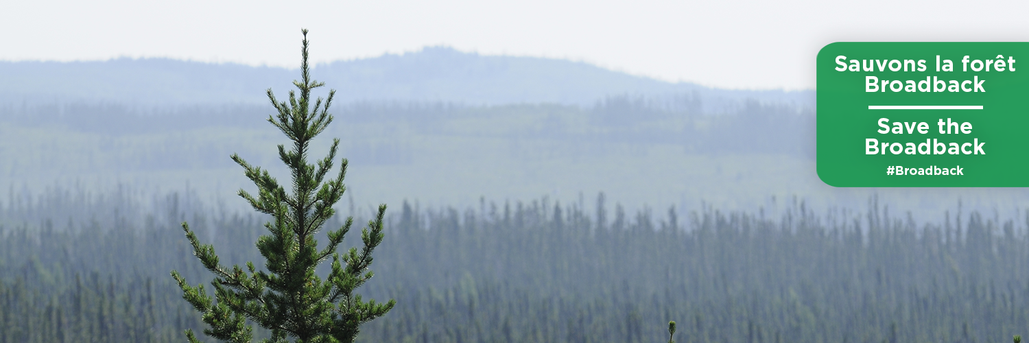 Waswanipi Profile Banner