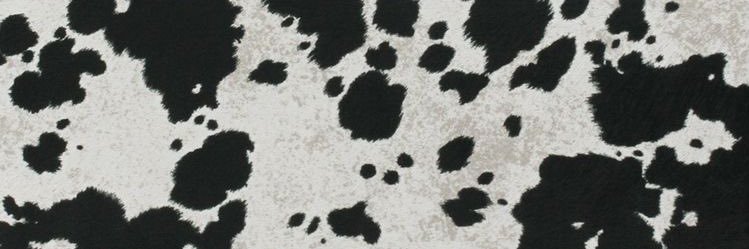 KimCrumby's profile banner image