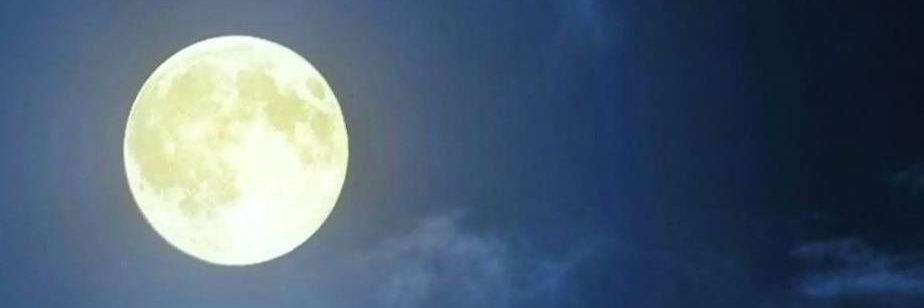 RzmnDnl's profile banner image