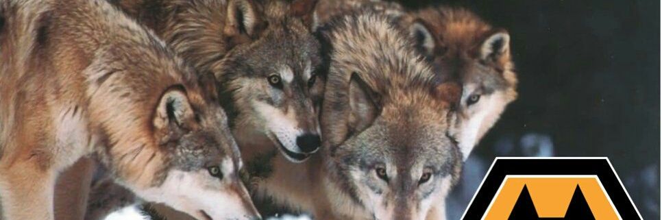 the wolfs lair banner