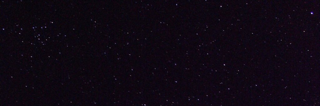 travis_trades's profile banner image