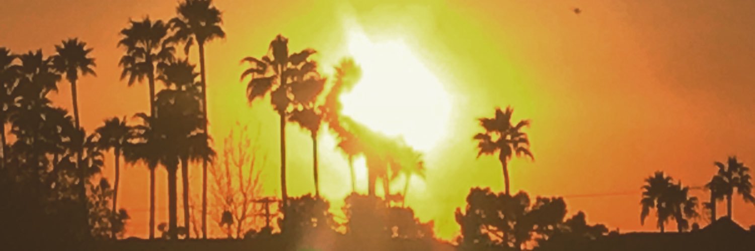 joereitman's profile banner image