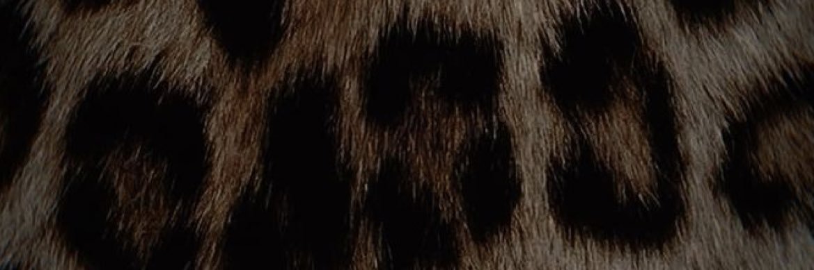 ShAlathba's profile banner image