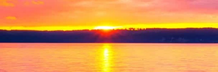 Don_diddit's profile banner image
