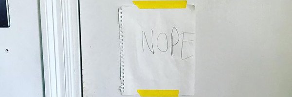 lidleida Profile Banner