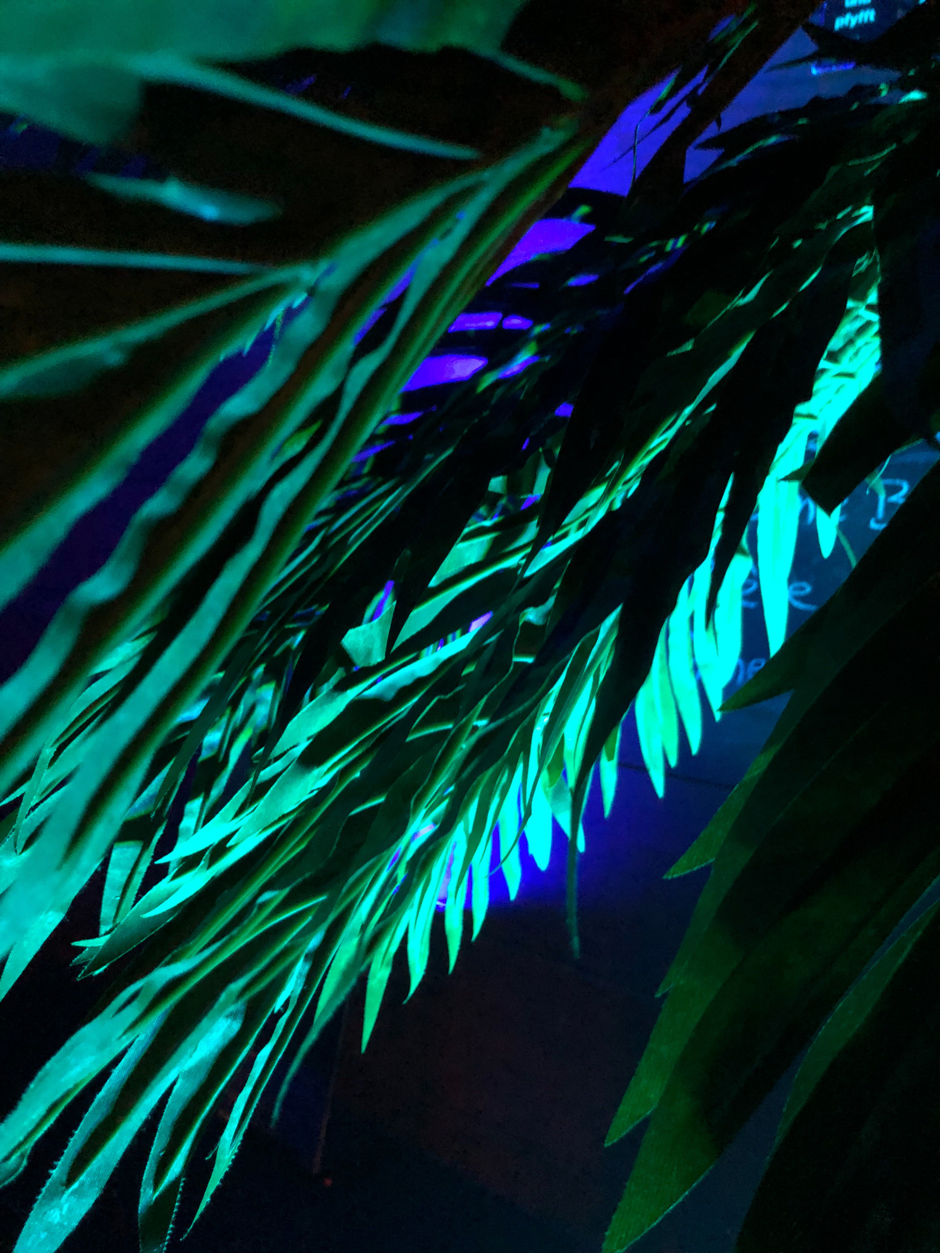linkineo's profile banner image