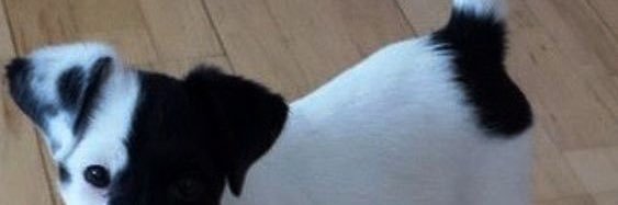 CarlTreezy's profile banner image