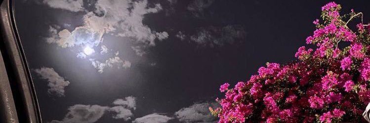 محمد🇸🇦🇸🇦🇸🇦 banner