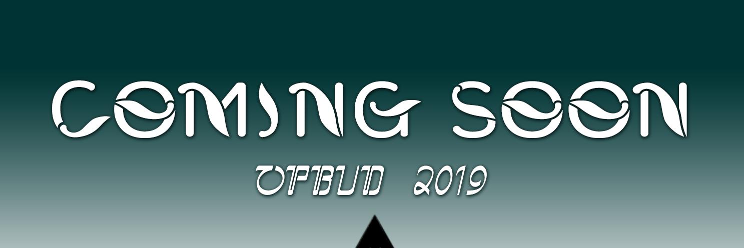 OperaBudayaFIB's profile banner image