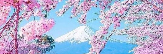 hidehide3's profile banner image