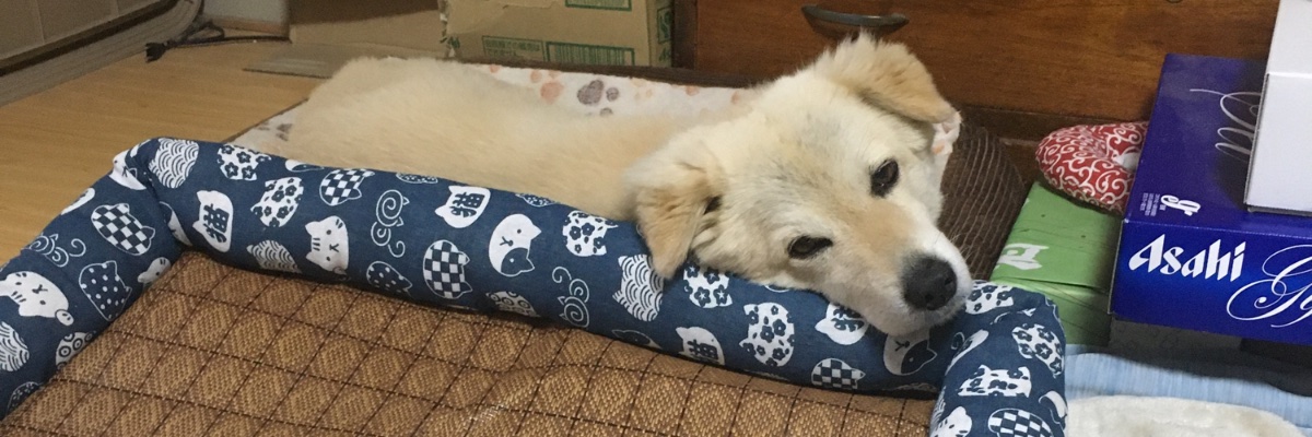 損切り全損@入金15万→10万 banner