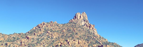 markheals Profile Banner