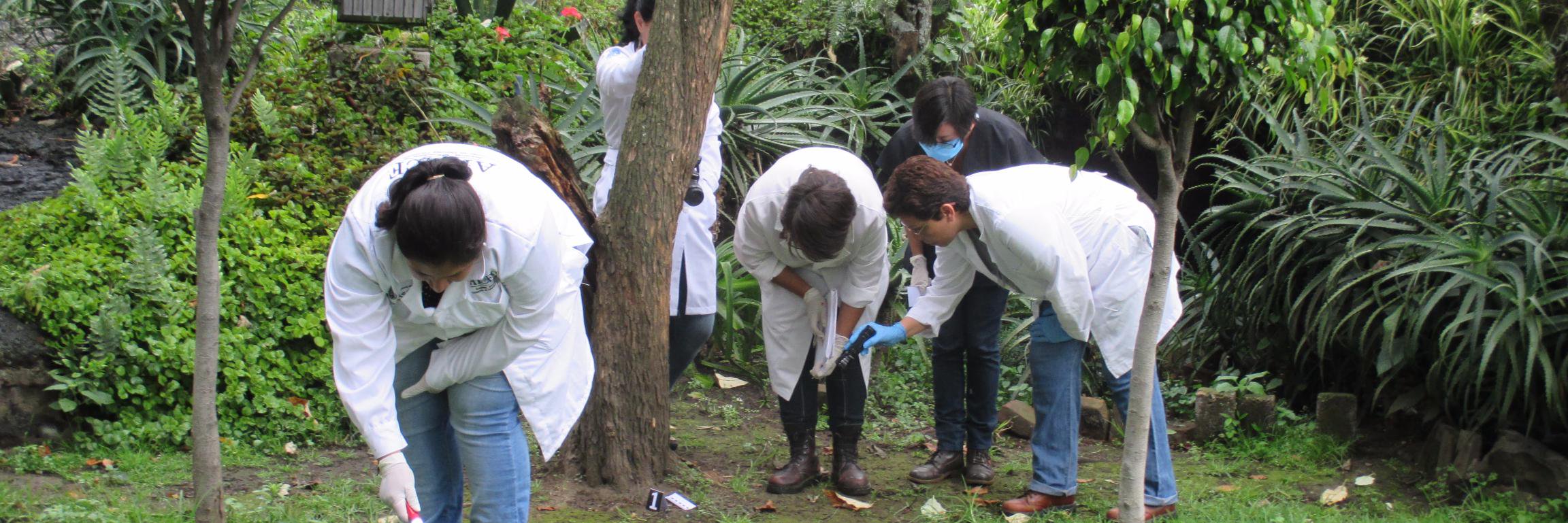 Lab Osteología ENAH banner