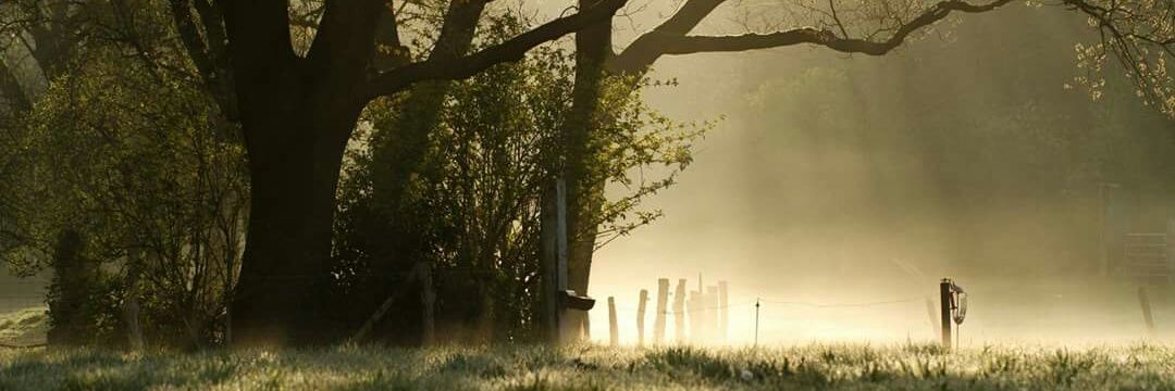 hesvos's profile banner image