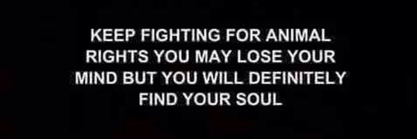 JustAnimals_ Profile Banner