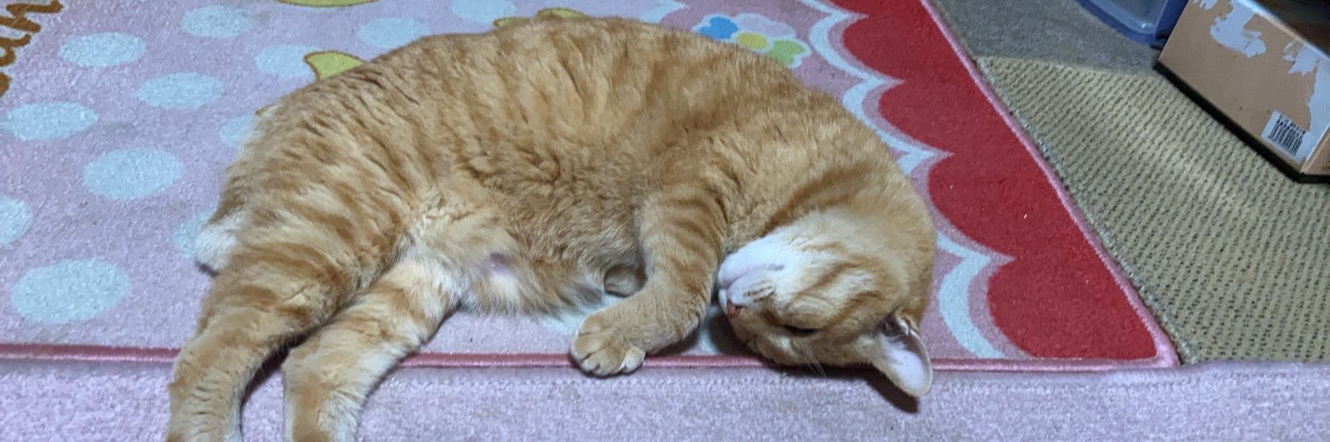 本木せんと banner