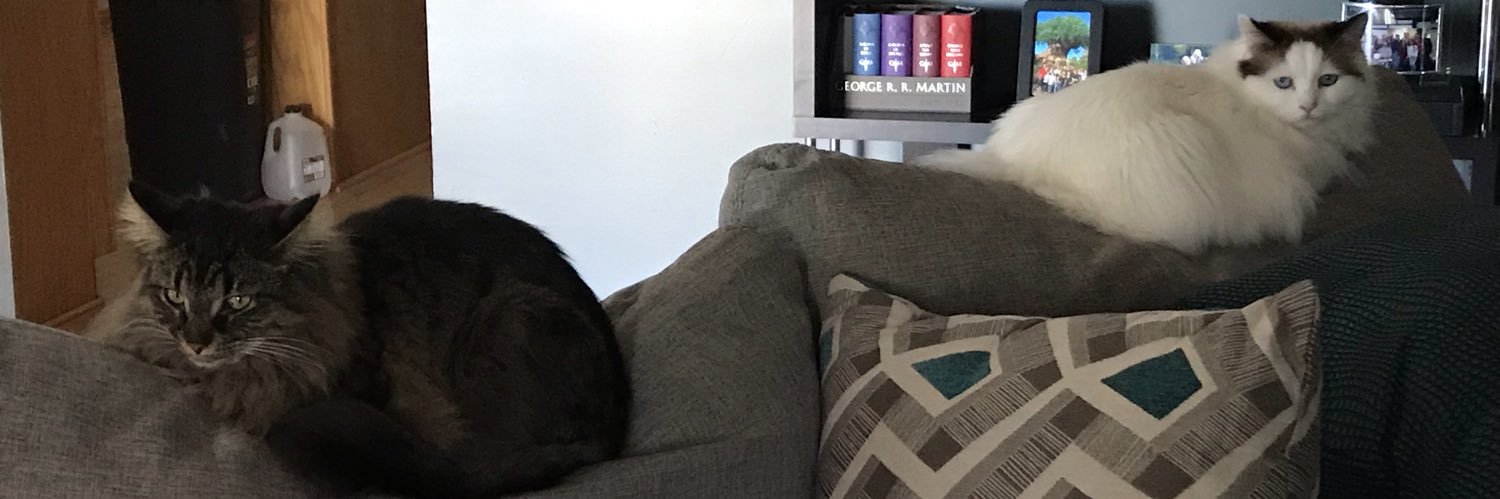 HeyBabyItsCaty's profile banner image
