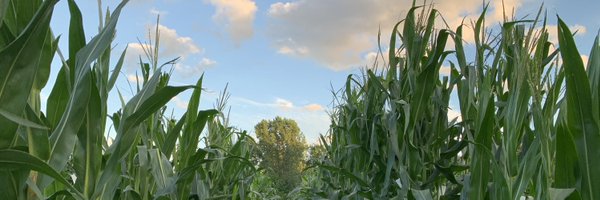 Thumaize Profile Banner