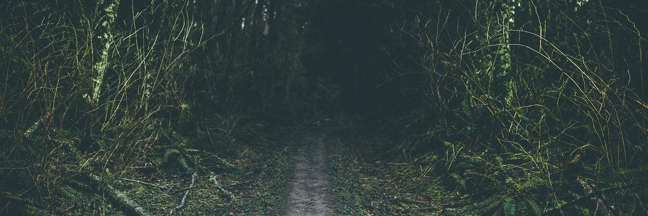 BrightAsTheDark's profile banner image