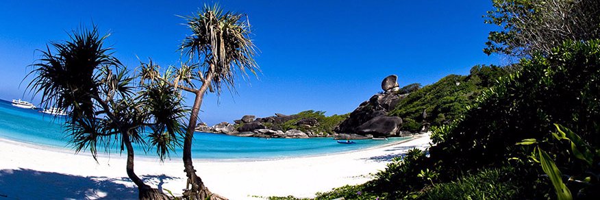 SimilanDiving's profile banner image