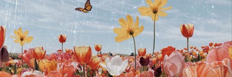 AlyssaBennett18's profile banner image