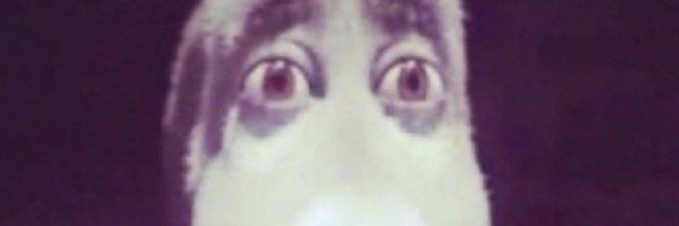 foreignfrnd's profile banner image